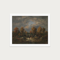 The Woodland Pond