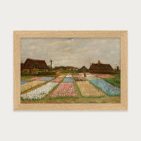 Holland Flower Beds