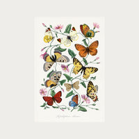 Butterfly Field Digital Download