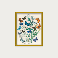 Butterflies and Moths