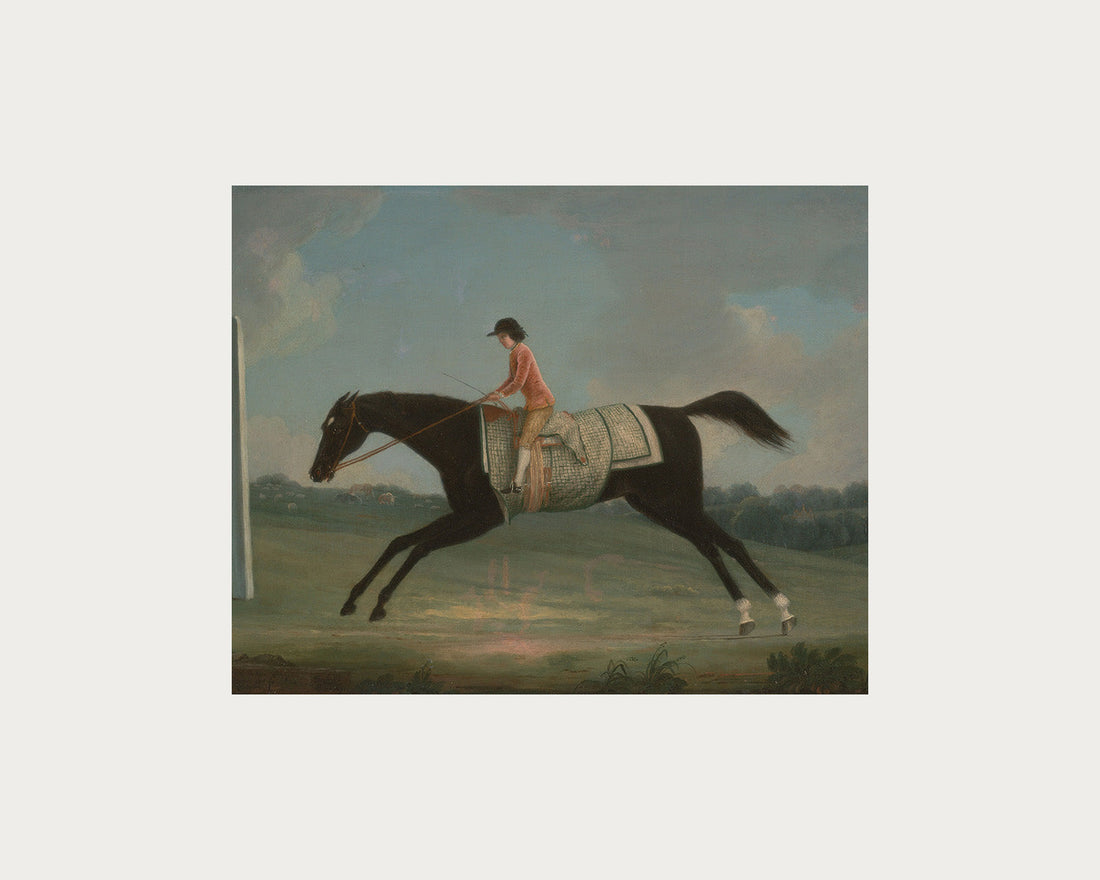 Derby Rider Digital Download