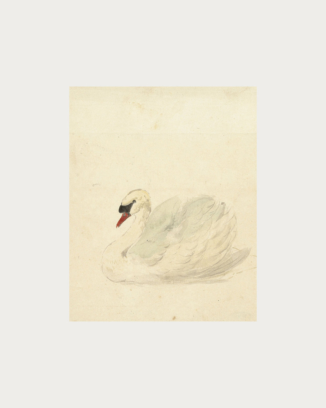 The Swan Digital Download