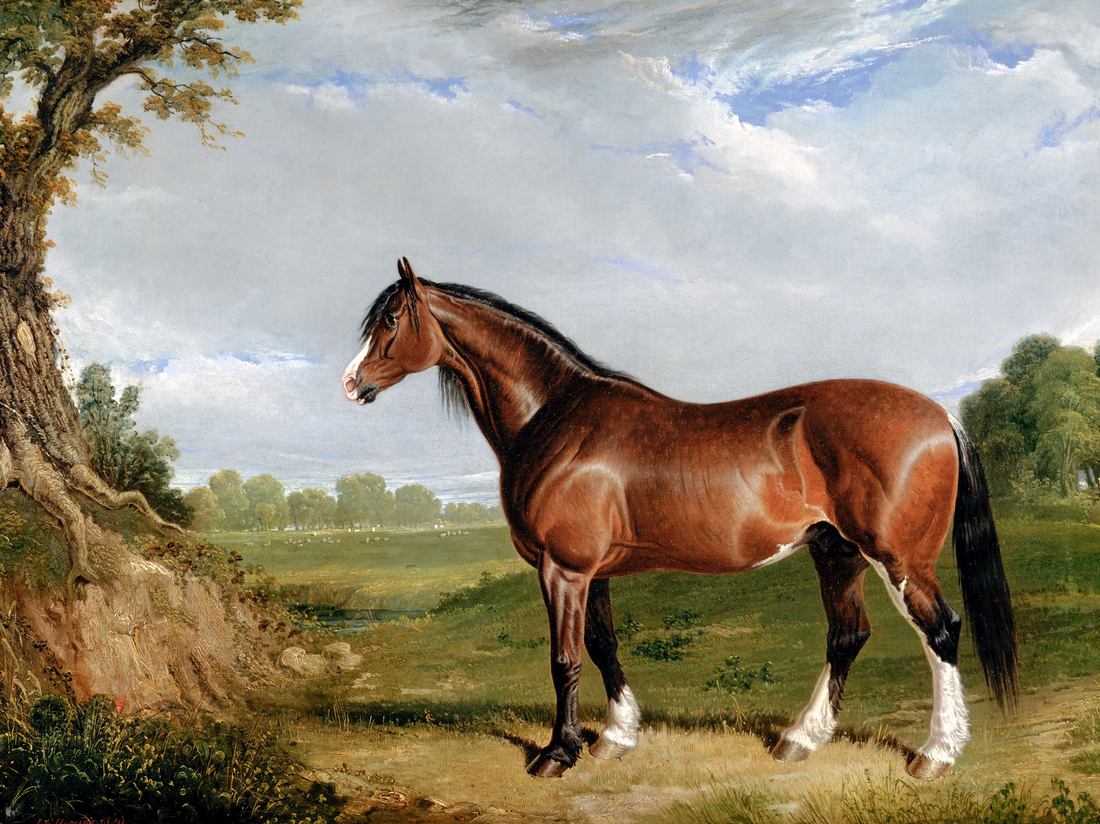 Clydesdale Stallion Digital Download