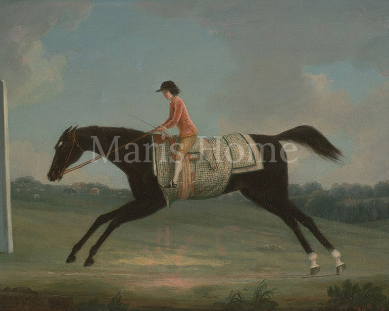 Derby Rider