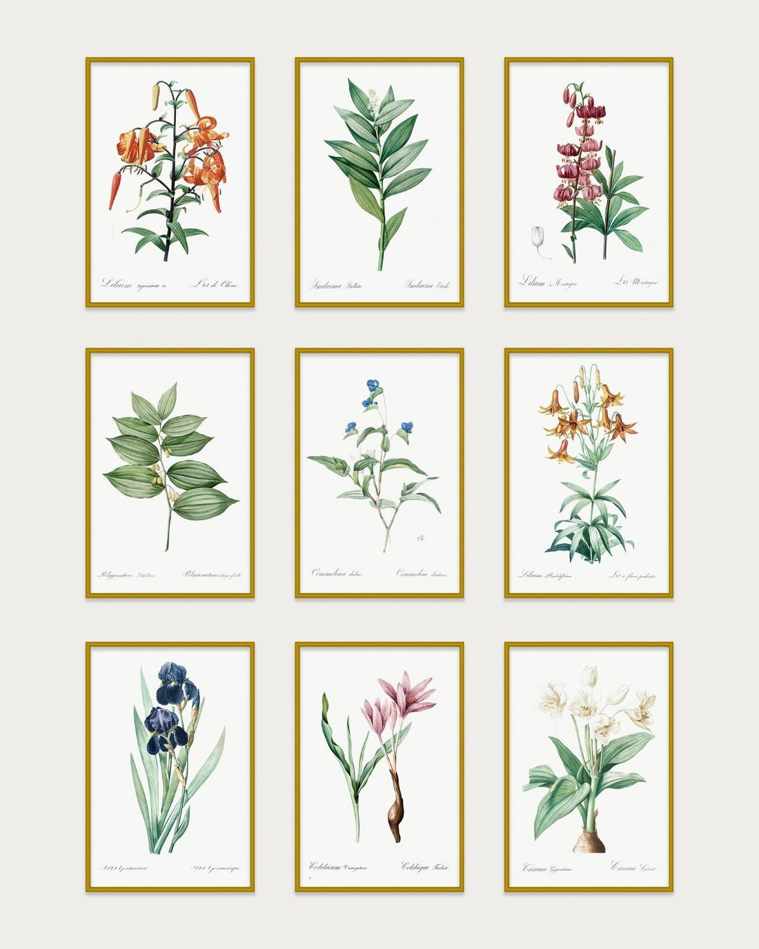 Vintage Botanical Collection