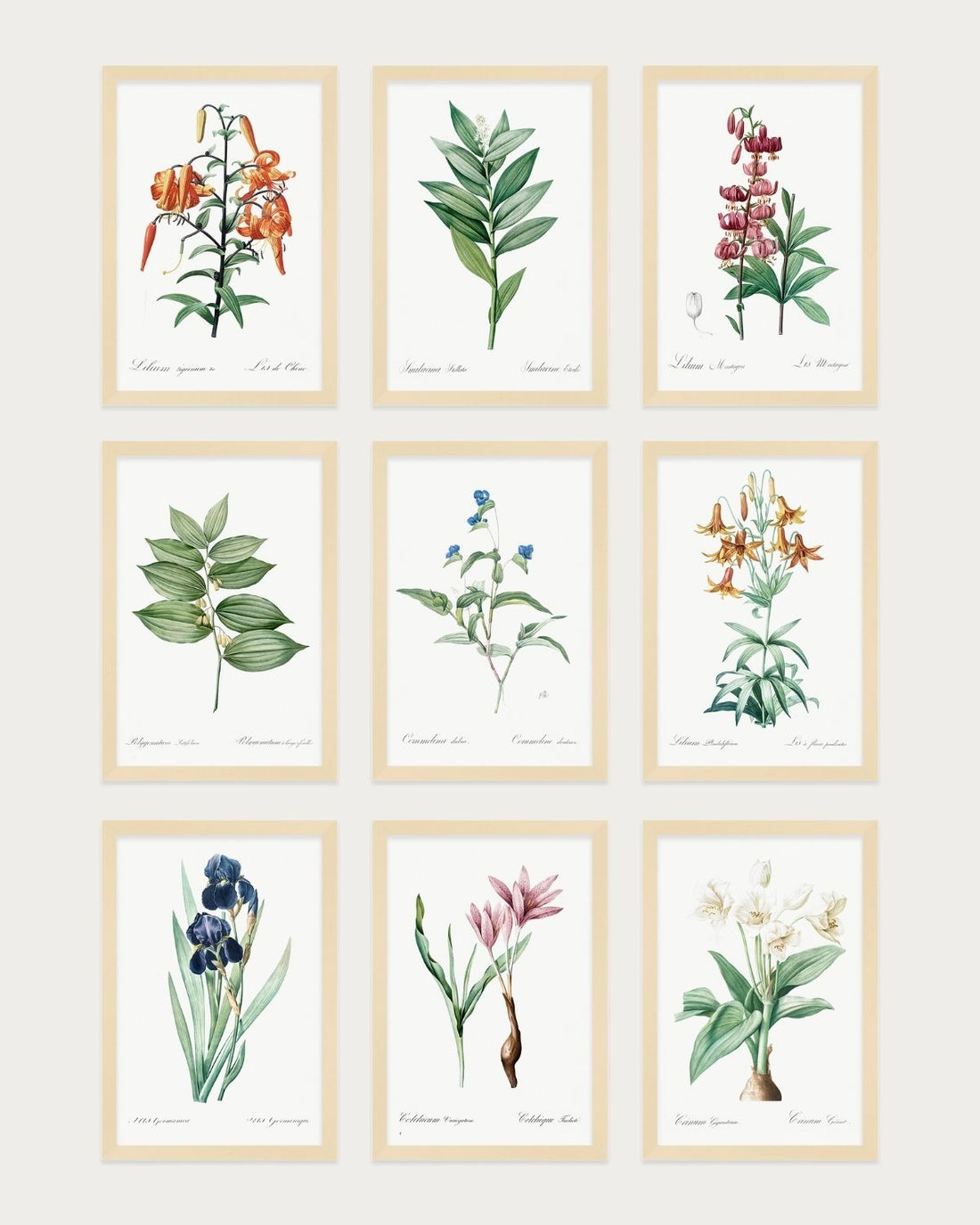 Vintage Botanical Collection