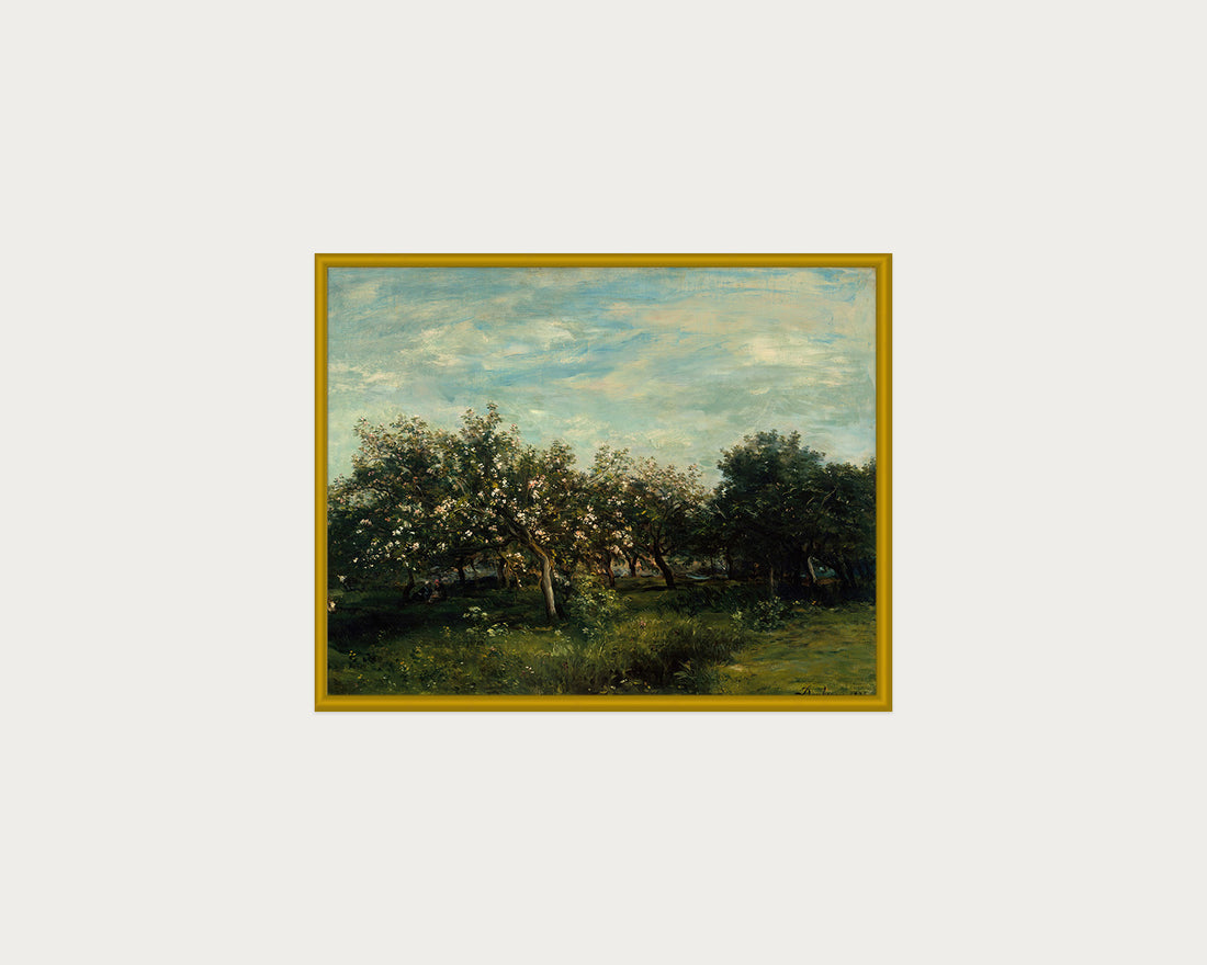 Apple Blossoms