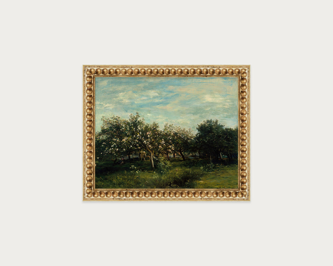 Apple Blossoms