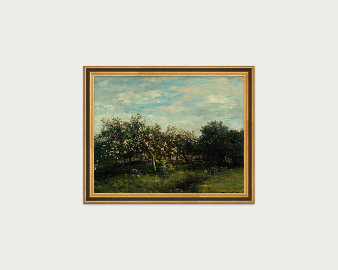 Apple Blossoms