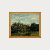 Apple Blossoms