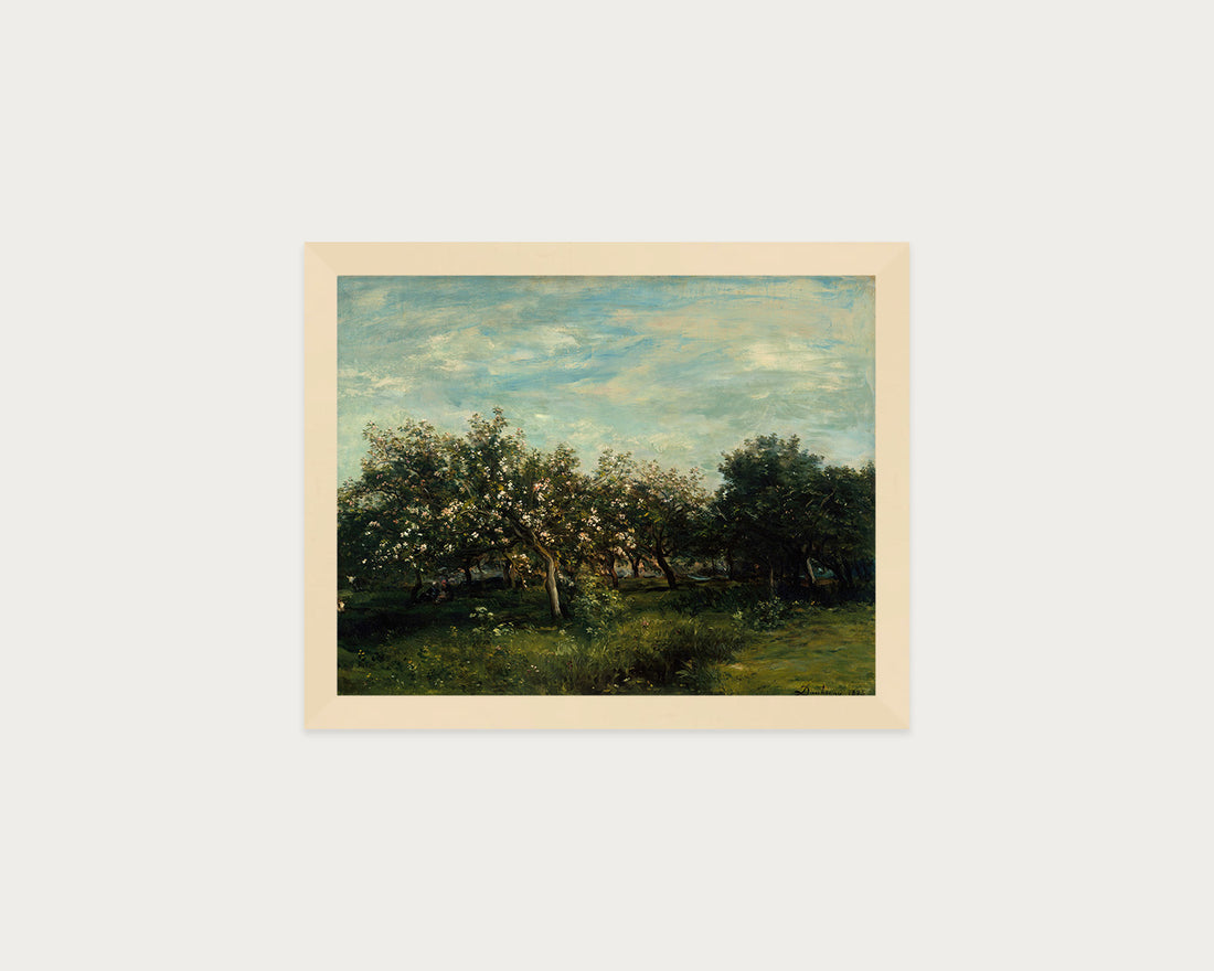 Apple Blossoms
