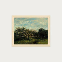 Apple Blossoms