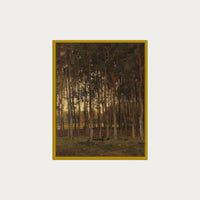 Dawn in the Woods