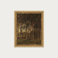 Dawn in the Woods