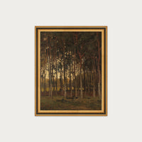 Dawn in the Woods