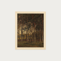 Dawn in the Woods