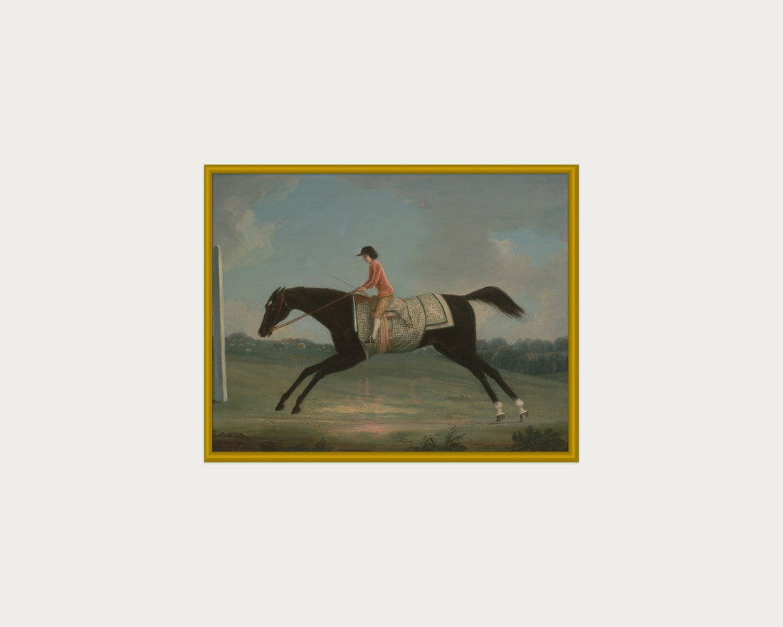 Derby Rider