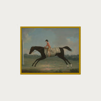 Derby Rider