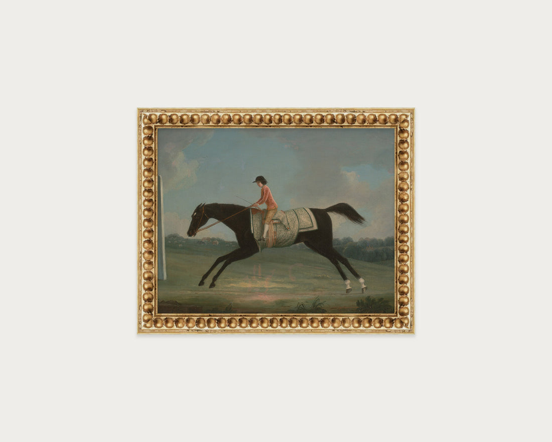 Derby Rider