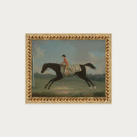 Derby Rider