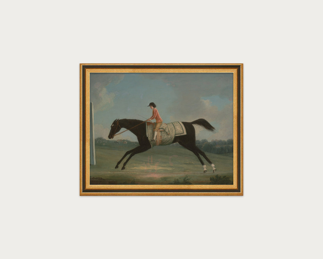 Derby Rider
