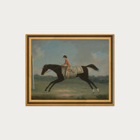Derby Rider