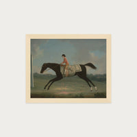 Derby Rider