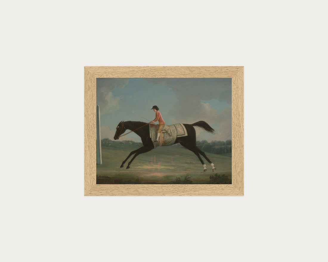 Derby Rider