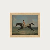 Derby Rider