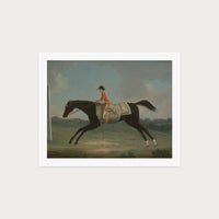 Derby Rider