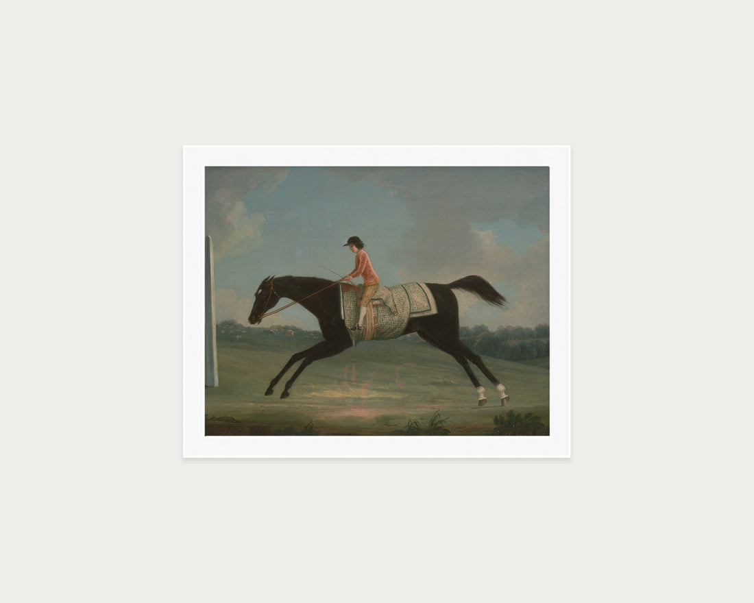 Derby Rider