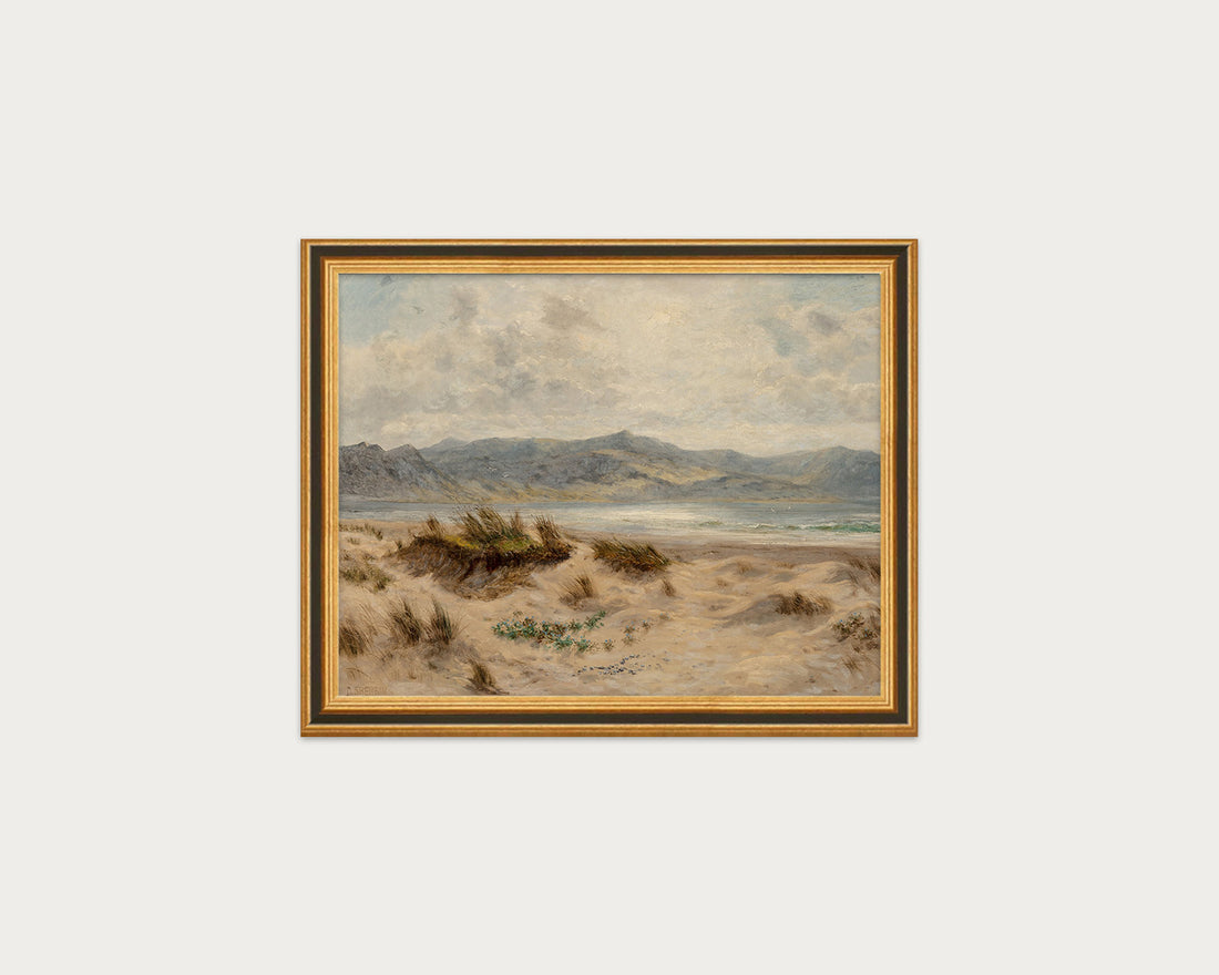 Dunes on the Welsh Coast
