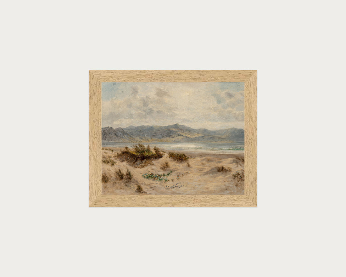 Dunes on the Welsh Coast