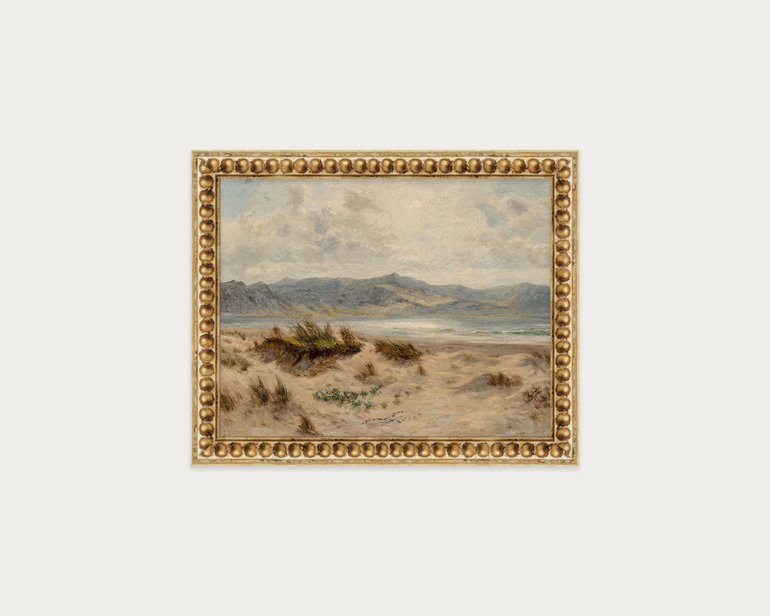 Dunes on the Welsh Coast