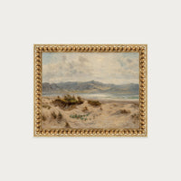 Dunes on the Welsh Coast