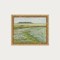 Fields in Bloom