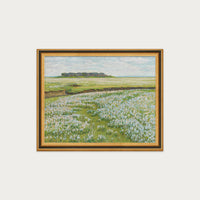 Fields in Bloom
