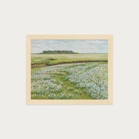 Fields in Bloom