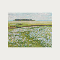 Fields in Bloom