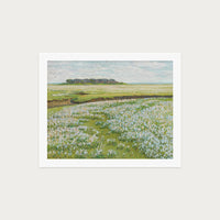 Fields in Bloom