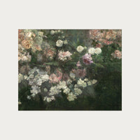 Garden in May