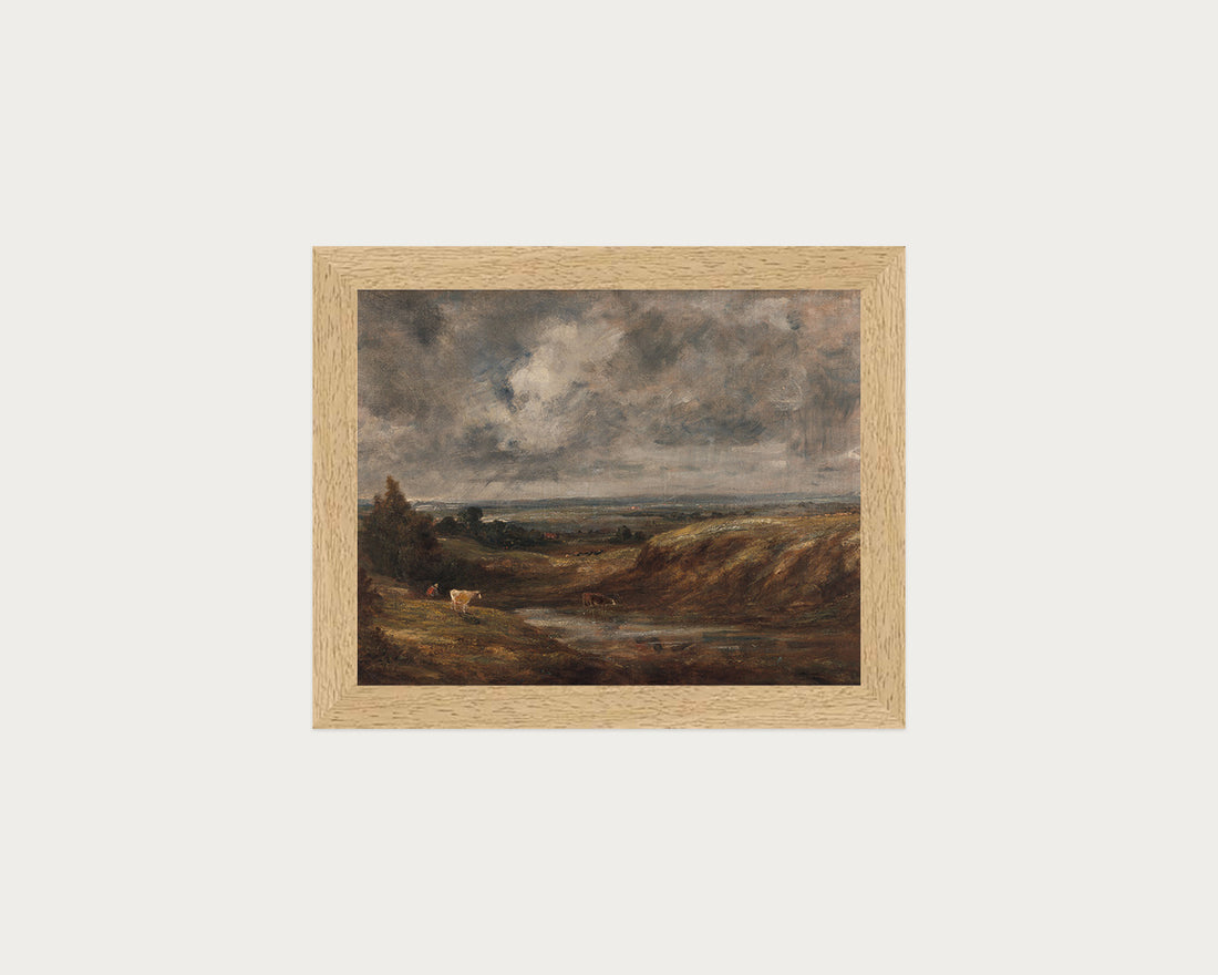 Hampstead Heath