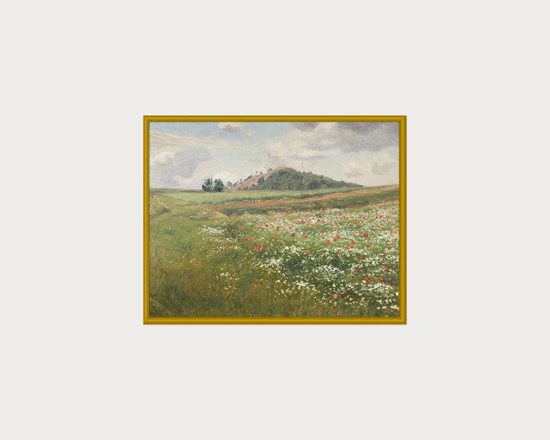 Poppy Fields
