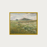 Poppy Fields