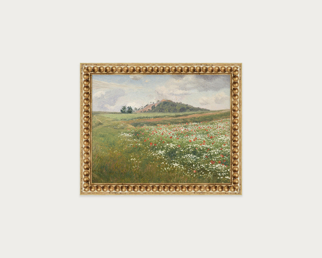 Poppy Fields