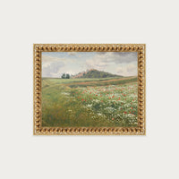 Poppy Fields