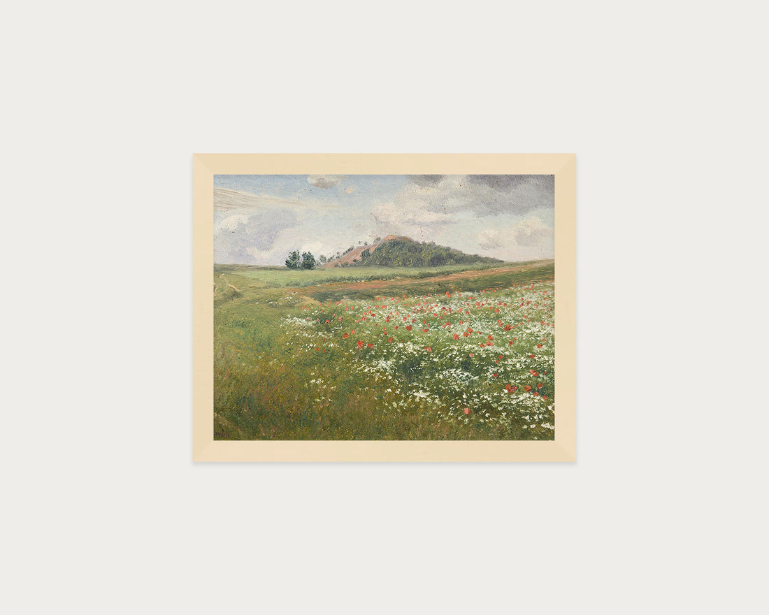 Poppy Fields