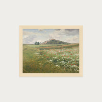 Poppy Fields
