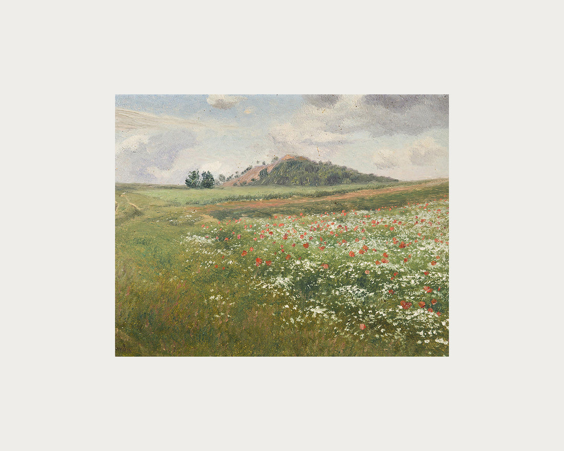 Poppy Fields