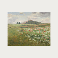 Poppy Fields